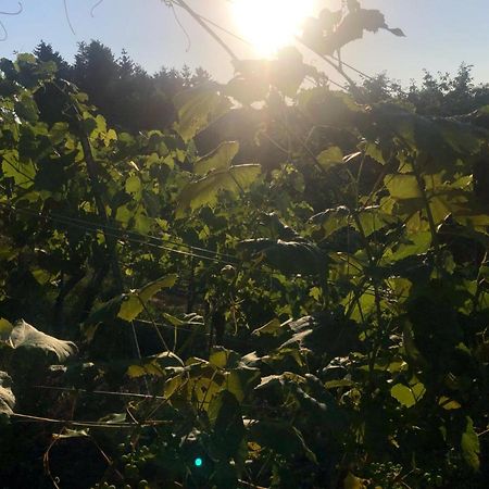 Winzerhaeuschen Kern Apartment Fehring Luaran gambar